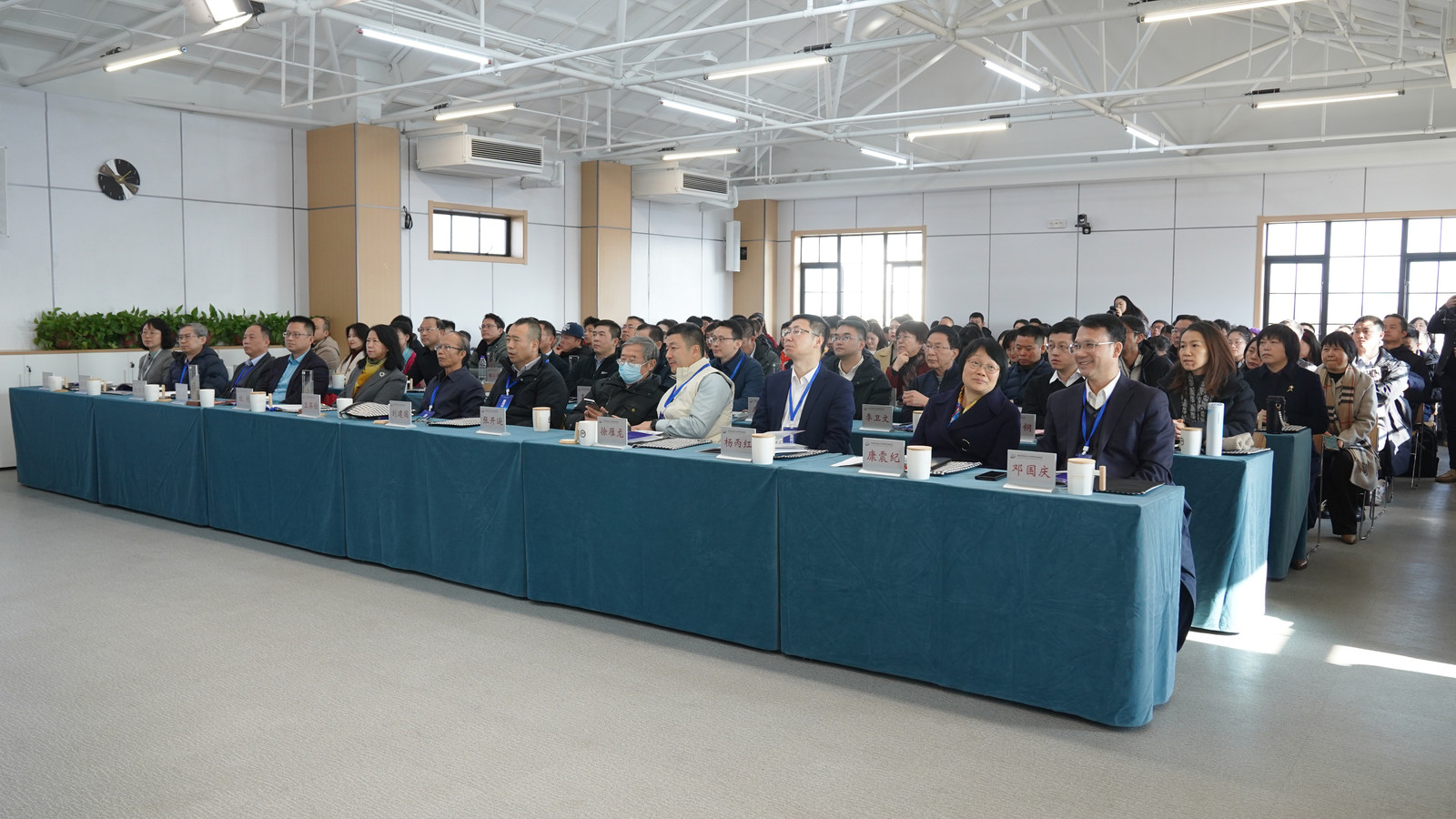 DSC06310-4247840441.jpg DSC06310-4247840441.jpg